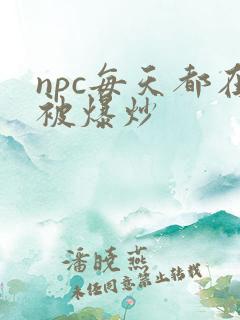 npc每天都在被爆炒