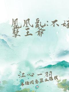 凤凰乱:不嫁妖孽王爷