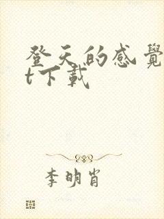 登天的感觉txt下载