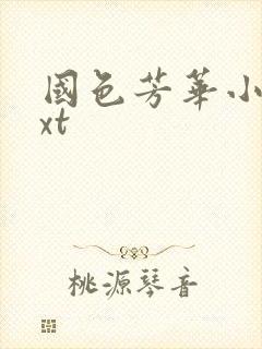 国色芳华小说txt