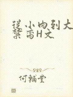 从小肉到大师傅禁脔H文