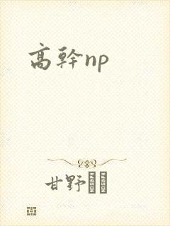 高干np