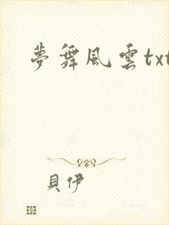 梦舞风云txt