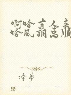 啊哈有人来了啊哈风调禹顺