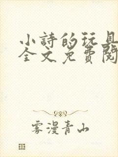 小诗的玩具日记全文免费阅读