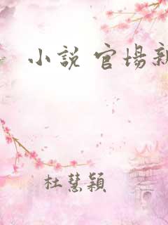 小说 官场新贵