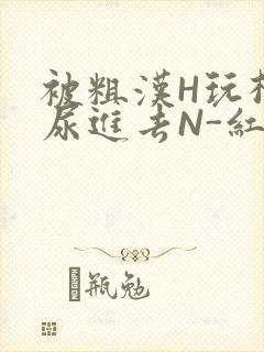 被粗汉H玩松了尿进去N-红-Q