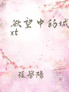 欲望中的城市txt