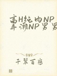 高H纯肉NP 弄潮NP男男