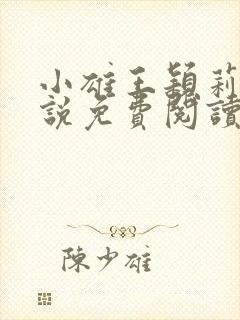 小雄王颖莉的小说免费阅读全文