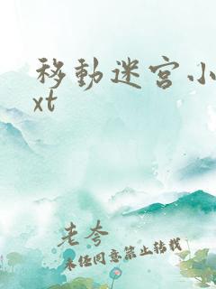 移动迷宫小说txt