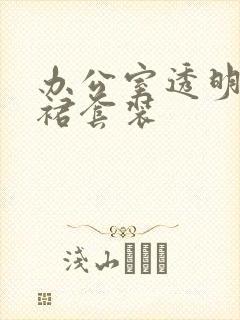 办公室透明半身裙套装