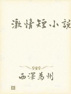 激情短小说