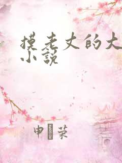 摸老丈的大牛子小说