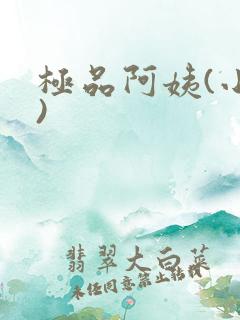 极品阿姨(小说)