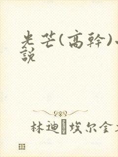 光芒(高干)小说