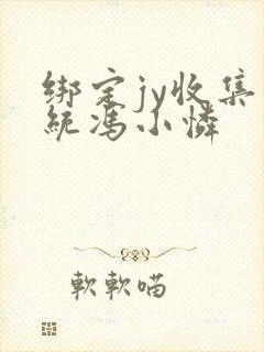 绑定jy收集系统冯小怜