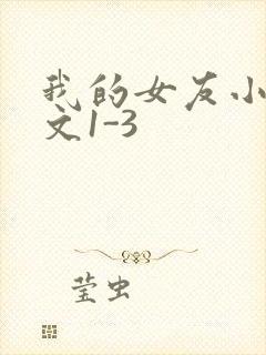 我的女友小洁全文1-3