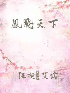 凤飞天下