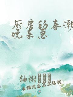 厨房的春潮带雨晚来急
