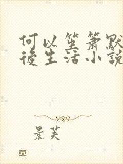 何以笙箫默之婚后生活小说