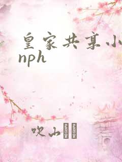 皇家共享小公主nph
