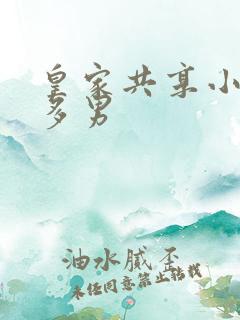 皇家共享小公主多男