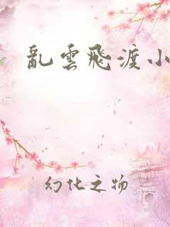 乱云飞渡小说