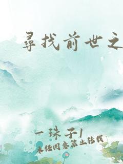 寻找前世之旅续