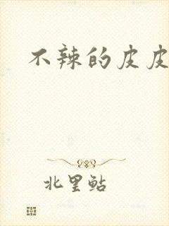 不辣的皮皮小说