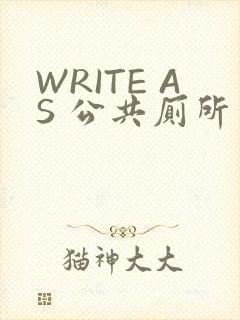 WRITE AS 公共厕所