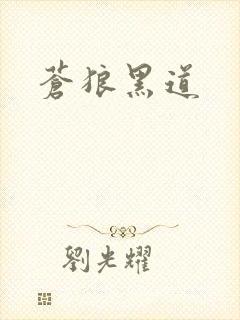 苍狼黑道