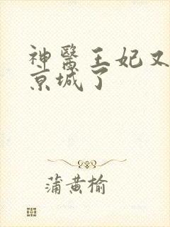 神医王妃又轰动京城了