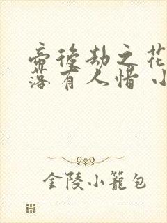 帝后劫之花开花落有人惜 小说