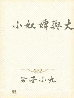 小奴婢与大少爷