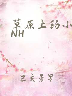 草原上的小公主NH