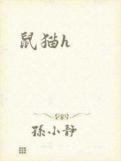鼠猫h