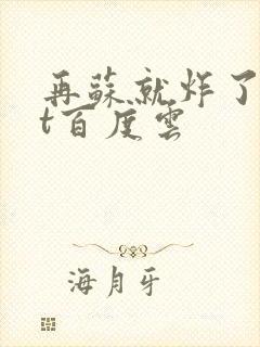 再苏就炸了txt百度云