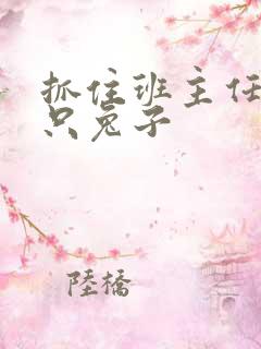 抓住班主任的两只兔子