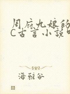 周府九娘的NPC古言小说叫什么