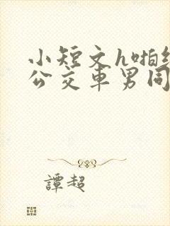 小短文h啪纯肉公交车男同