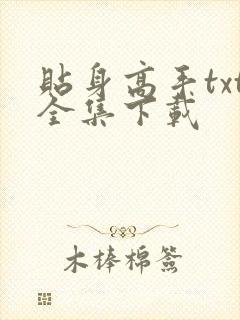 贴身高手txt全集下载