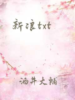 新浪txt
