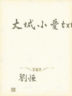 大城小爱txt
