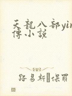 天龙八部yin传小说