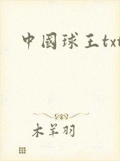 中国球王txt