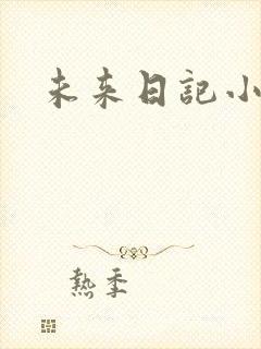 未来日记小说