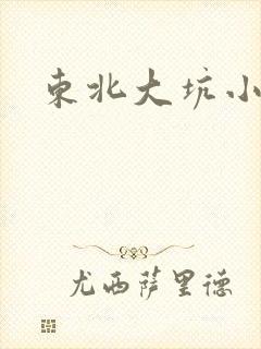东北大坑小说