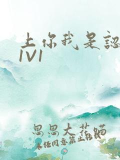 上你我是认真的1V1