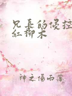 兄长的侵控by红柳木